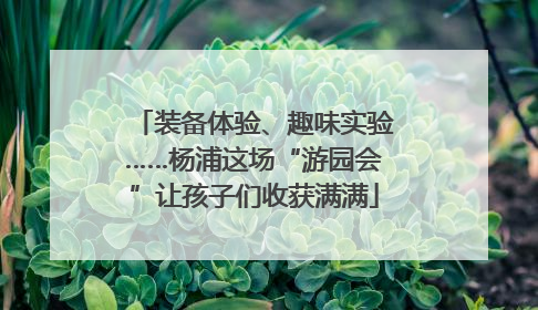 装备体验、趣味实验……杨浦这场“游园会”让孩子们收获满满