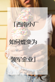西南小厂如何蝶变为领军企业