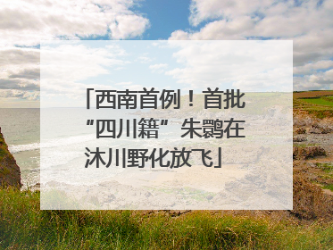 西南首例！首批“四川籍”朱鹮在沐川野化放飞