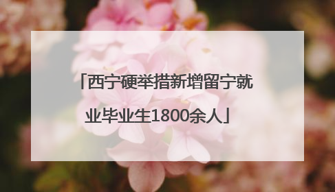 西宁硬举措新增留宁就业毕业生1800余人
