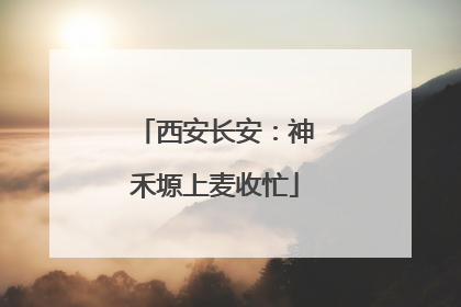 西安长安：神禾塬上麦收忙