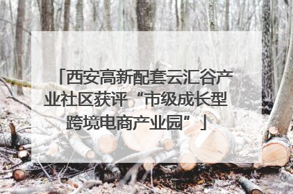 西安高新配套云汇谷产业社区获评“市级成长型跨境电商产业园”