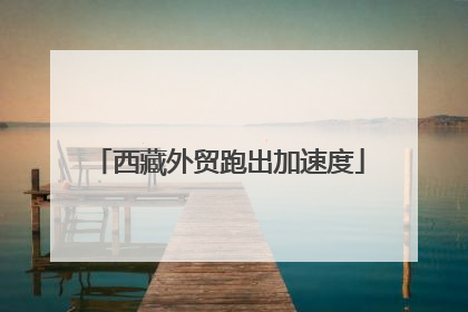 西藏外贸跑出加速度