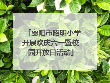 襄阳市昭明小学开展欢庆六一暨校园开放日活动