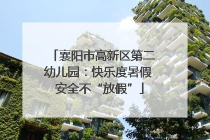 襄阳市高新区第二幼儿园：快乐度暑假 安全不“放假”