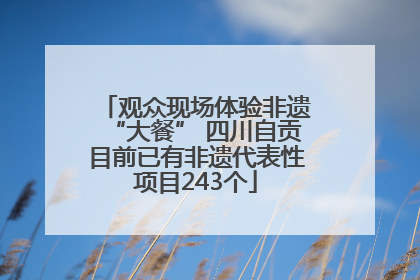观众现场体验非遗“大餐” 四川自贡目前已有非遗代表性项目243个