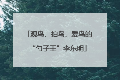 观鸟、拍鸟、爱鸟的“勺子王”李东明