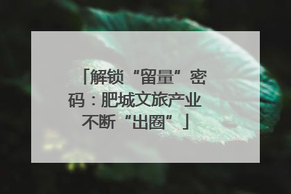 解锁“留量”密码：肥城文旅产业不断“出圈”