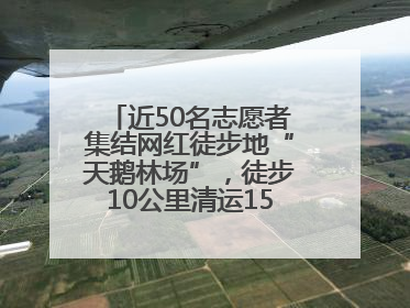 近50名志愿者集结网红徒步地“天鹅林场”，徒步10公里清运150余斤山野垃圾
