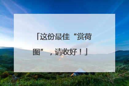 这份最佳“赏荷图”，请收好！