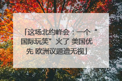 这场北约峰会：一个“国际玩笑”火了 美国优先 欧洲议题遭无视