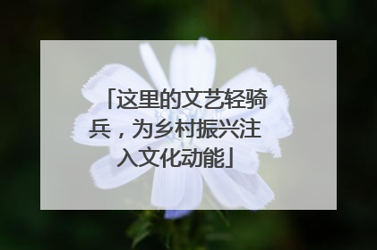 这里的文艺轻骑兵，为乡村振兴注入文化动能