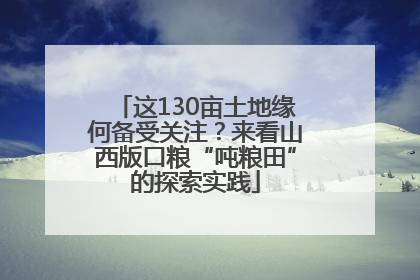 这130亩土地缘何备受关注？来看山西版口粮“吨粮田”的探索实践