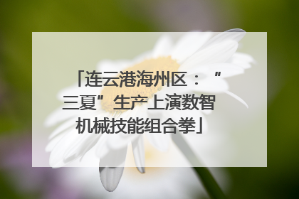 连云港海州区：“三夏”生产上演数智机械技能组合拳