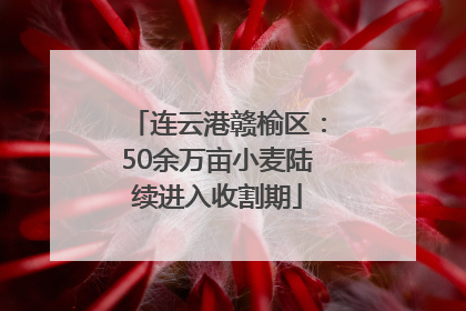 连云港赣榆区：50余万亩小麦陆续进入收割期