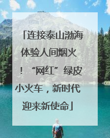 连接泰山渤海 体验人间烟火！“网红”绿皮小火车，新时代迎来新使命