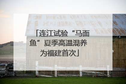 连江试验“马面鱼”夏季高温混养 为福建首次