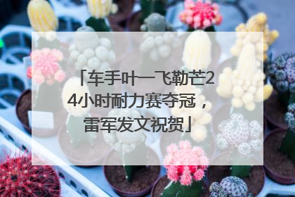 车手叶一飞勒芒24小时耐力赛夺冠，雷军发文祝贺