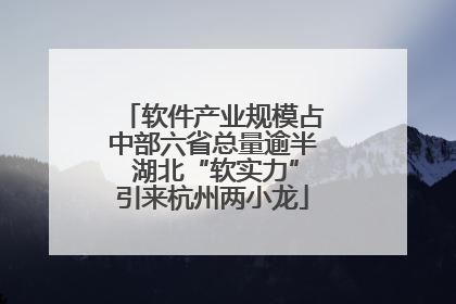 软件产业规模占中部六省总量逾半 湖北“软实力”引来杭州两小龙