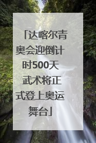 达喀尔青奥会迎倒计时500天 武术将正式登上奥运舞台