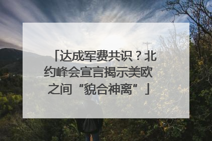 达成军费共识？北约峰会宣言揭示美欧之间“貌合神离”
