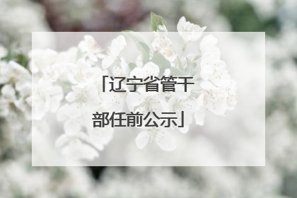 辽宁省管干部任前公示