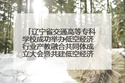 辽宁省交通高等专科学校成功举办低空经济行业产教融合共同体成立大会暨共建低空经济产教融合新生态论坛