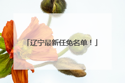 辽宁最新任免名单！