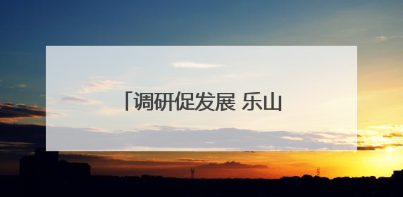 调研促发展 乐山市少先队鼓号队走进凤凰学校进行调研