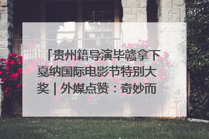 贵州籍导演毕赣拿下戛纳国际电影节特别大奖｜外媒点赞：奇妙而广阔的纯粹电影梦