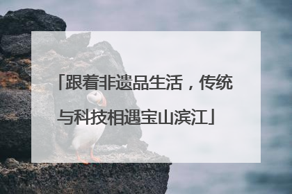跟着非遗品生活，传统与科技相遇宝山滨江