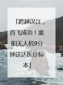 跨越汉江，首飞成功！襄阳无人机9分钟送达医疗标本