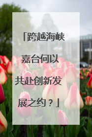 跨越海峡 嘉台何以共赴创新发展之约？