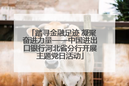 踏寻金融足迹 凝聚奋进力量——中国进出口银行河北省分行开展主题党日活动