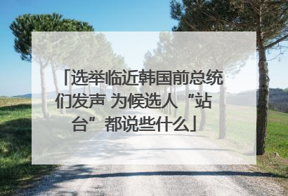 选举临近韩国前总统们发声 为候选人“站台”都说些什么