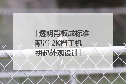 透明背板成标准配置 2K档手机拼起外观设计
