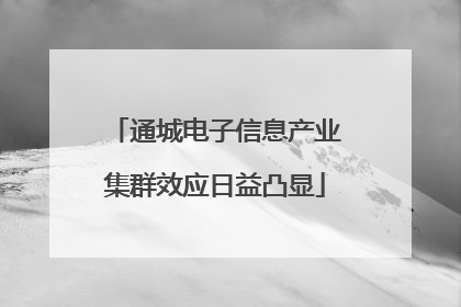 通城电子信息产业集群效应日益凸显