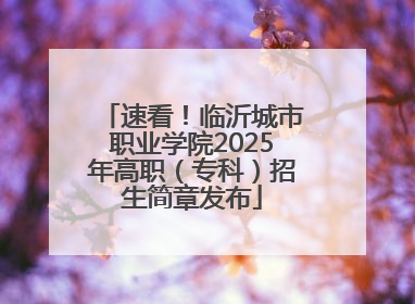 速看！临沂城市职业学院2025年高职（专科）招生简章发布