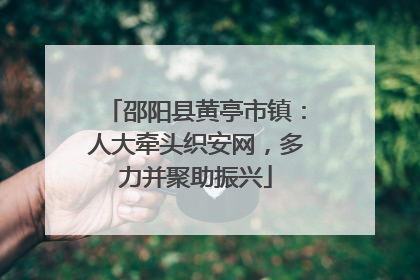 邵阳县黄亭市镇：人大牵头织安网，多力并聚助振兴