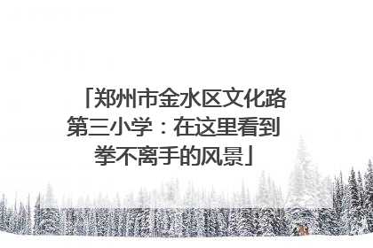 郑州市金水区文化路第三小学：在这里看到拳不离手的风景