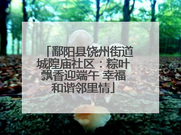 鄱阳县饶州街道城隍庙社区：粽叶飘香迎端午 幸福和谐邻里情