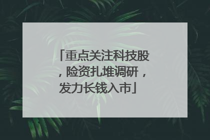 重点关注科技股，险资扎堆调研，发力长钱入市