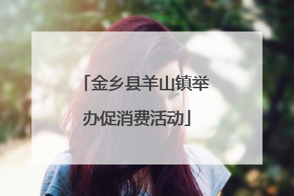 金乡县羊山镇举办促消费活动