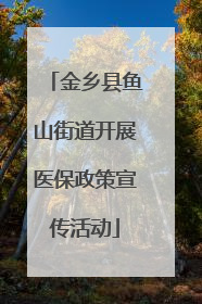 金乡县鱼山街道开展医保政策宣传活动