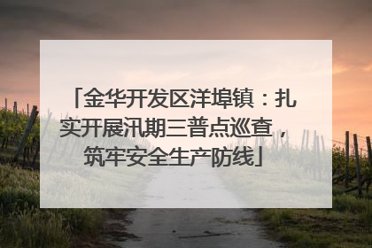 金华开发区洋埠镇：扎实开展汛期三普点巡查，筑牢安全生产防线