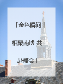 金色瞬间丨相聚南博 共赴盛会