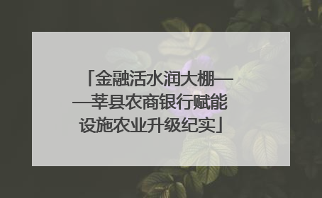 金融活水润大棚——莘县农商银行赋能设施农业升级纪实