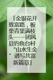 金银花开致富路，板栗青果满枝头——团风县钓鱼台村“山水生金”谱写共富新篇章