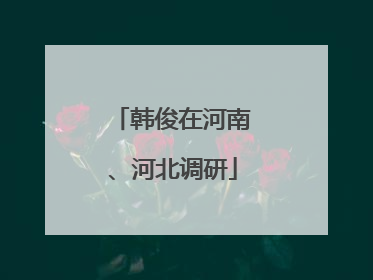 韩俊在河南、河北调研