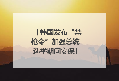 韩国发布“禁枪令”加强总统选举期间安保